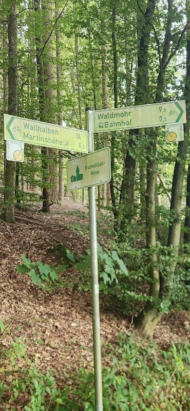 Waldpfad - Ausgangspunkt (trailhead) - Image 1