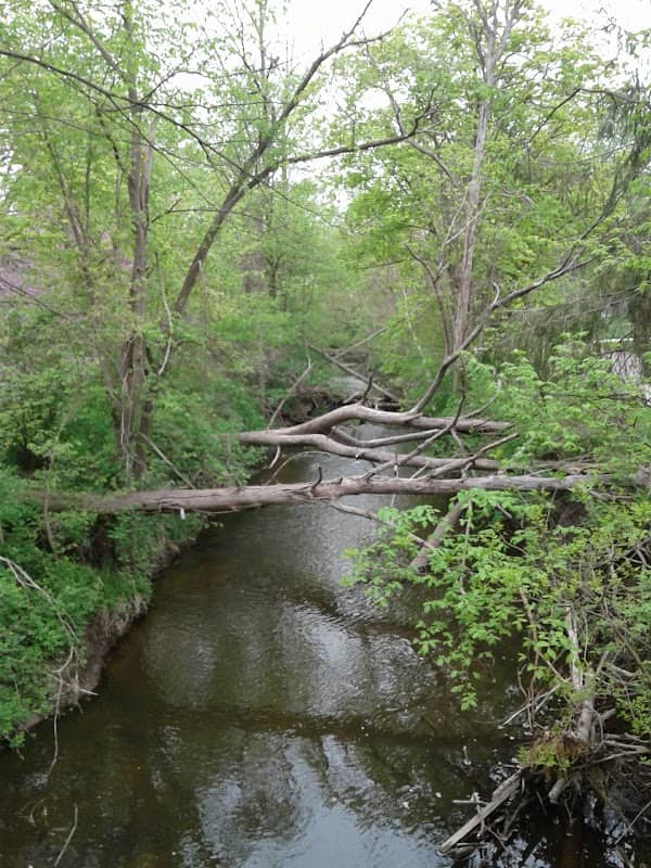 Woodlawn Park - Image 1