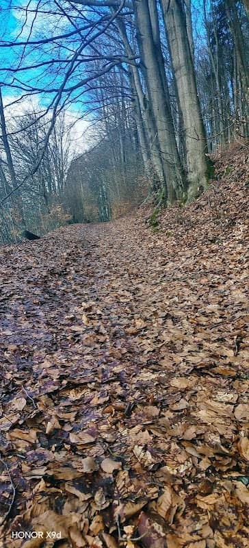 Berg Frankenblick - Image 1