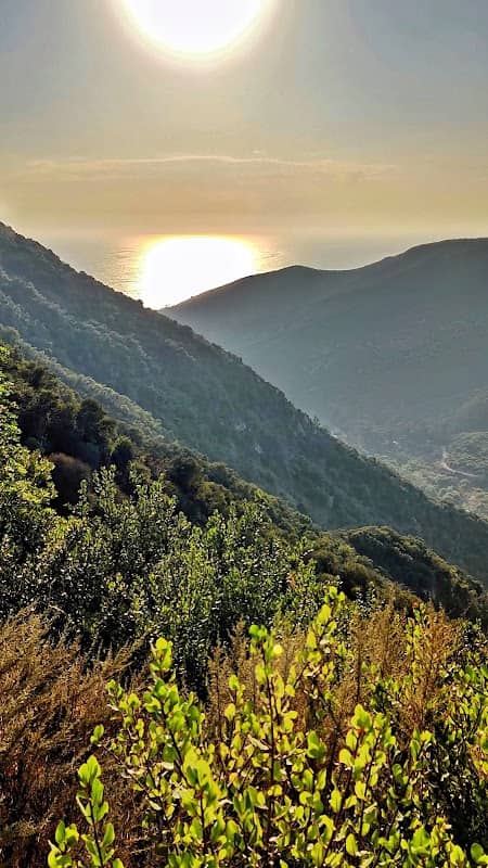 Top of the World Laguna Niguel - Image 2