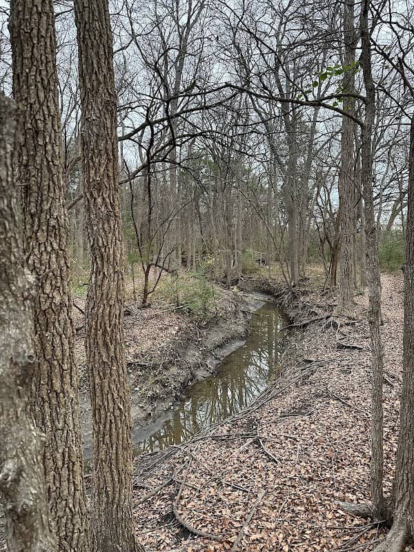 Maxwell Creek Trails - Image 2