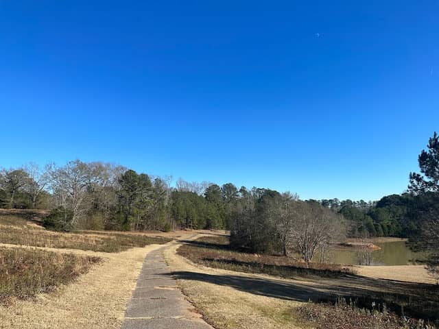 The University of Alabama Arboretum - Image 1