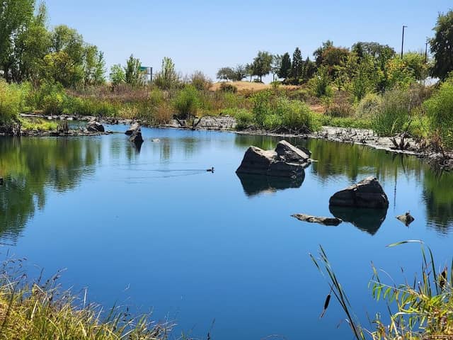 Pond and Picnic Area - Image 2