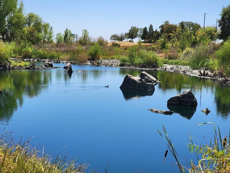 Pond and Picnic Area - Image 2