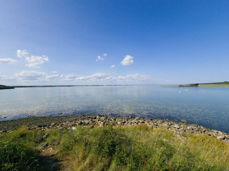 Riverside Country Park - Image 1