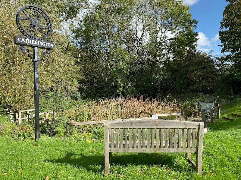 Catherington Pond - Image 1
