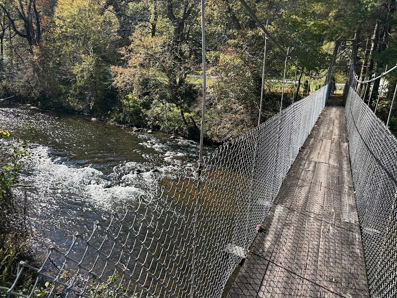 Barkers Creek Swinging Bridge - Image 1