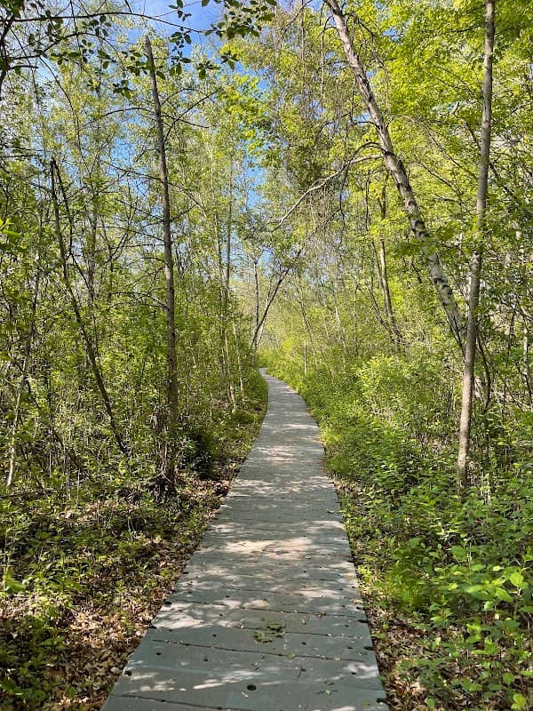 Eliason Nature Reserve - Image 1