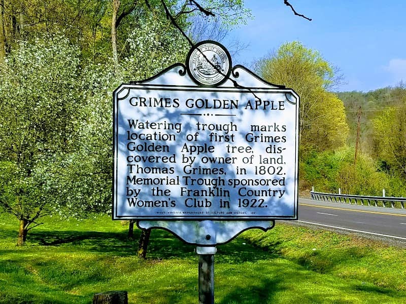Grimes Golden Apple Park - Image 2