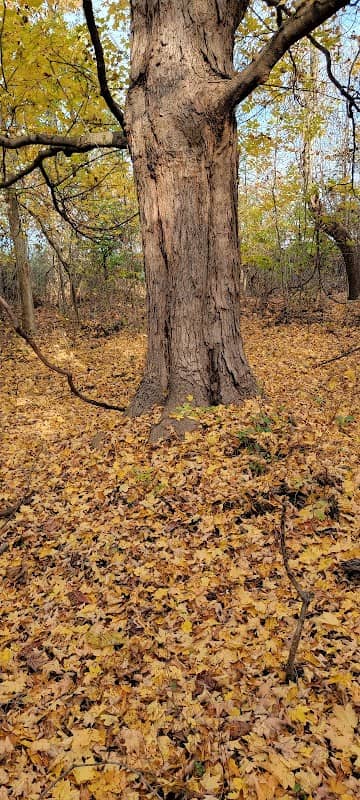 Widman Private Wildlife Preserve - Image 1