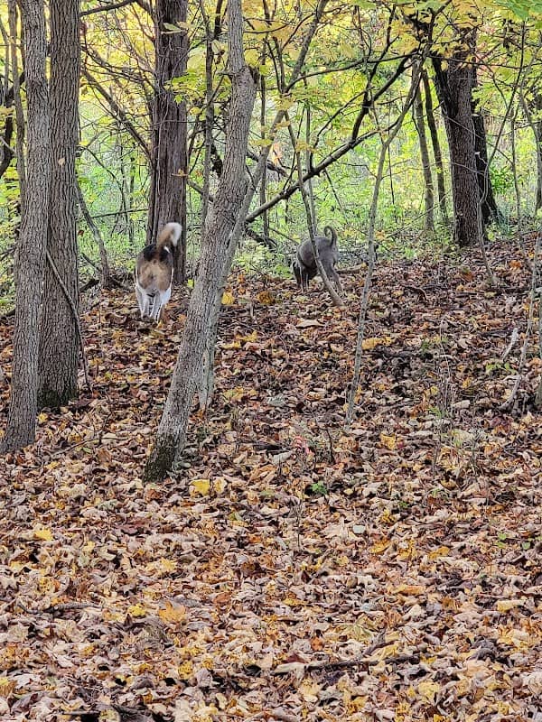 Widman Private Wildlife Preserve - Image 2