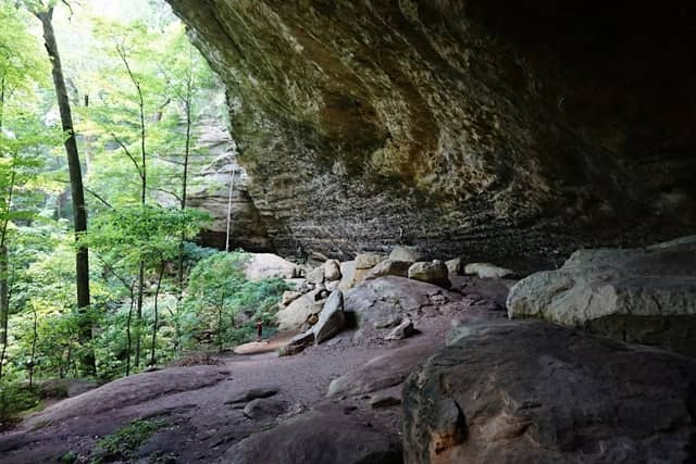 Ferne Clyffe State Park - Image 2