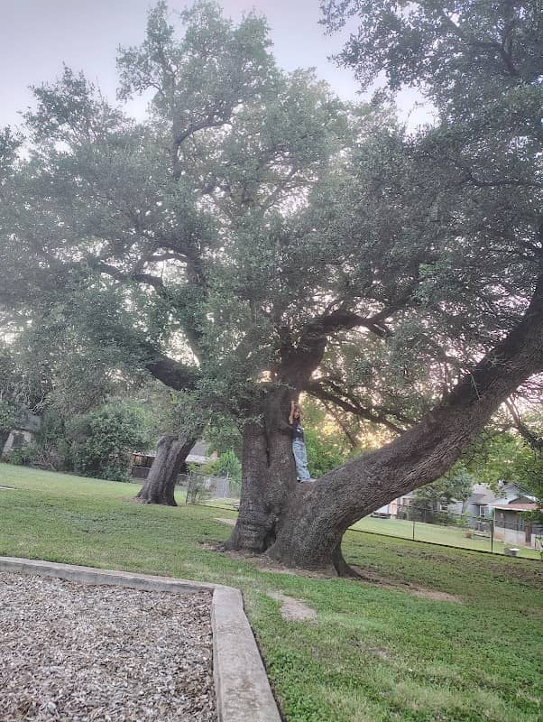 Beall Park - Image 1