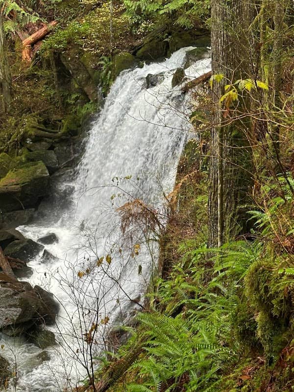 Ariava valley - Image 1