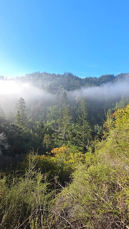 Coal Mine Ridge Open Space Preserve - Image 2