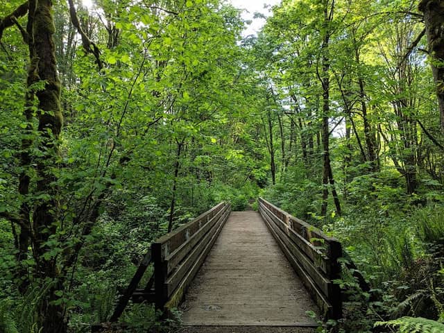 Coal Creek Natural Area - Image 1
