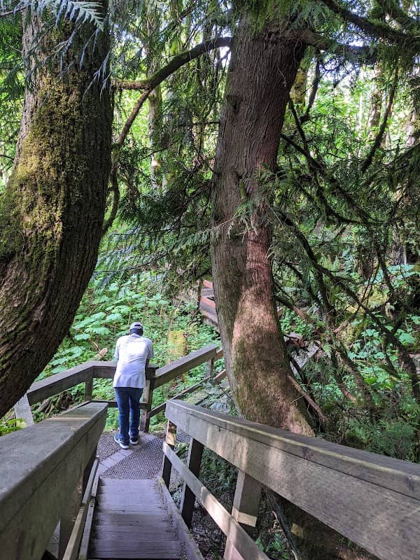 Coal Creek Natural Area - Image 2