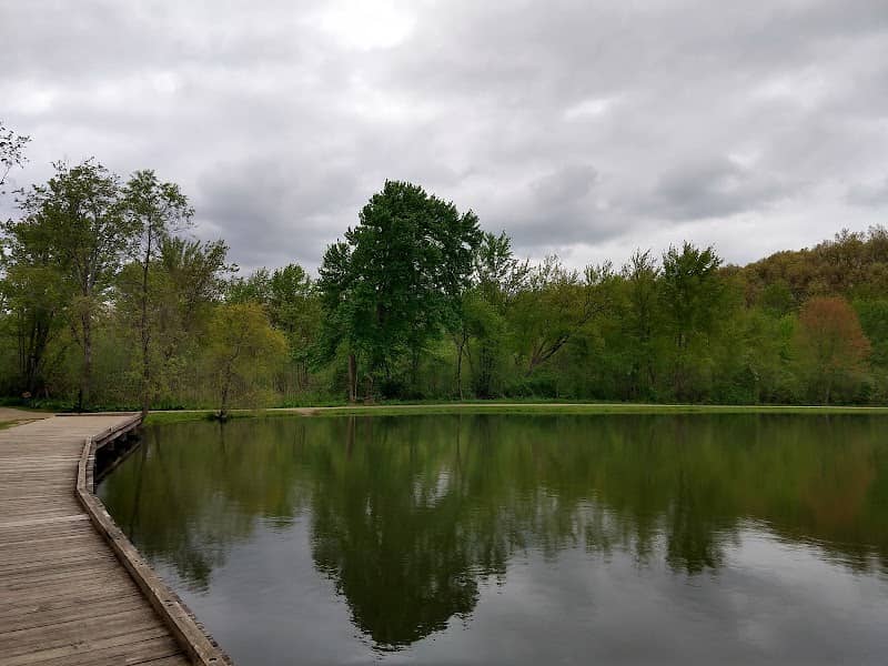 Little Turtle Pond - Image 2