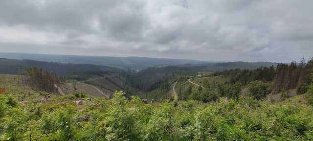 Oberlandblick - Image 1