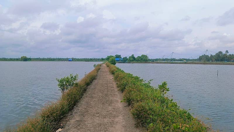 KADAMAKKUDY BACKWATERS. & PUZHAYORAM FOOD COURT AND BOATING - Image 1