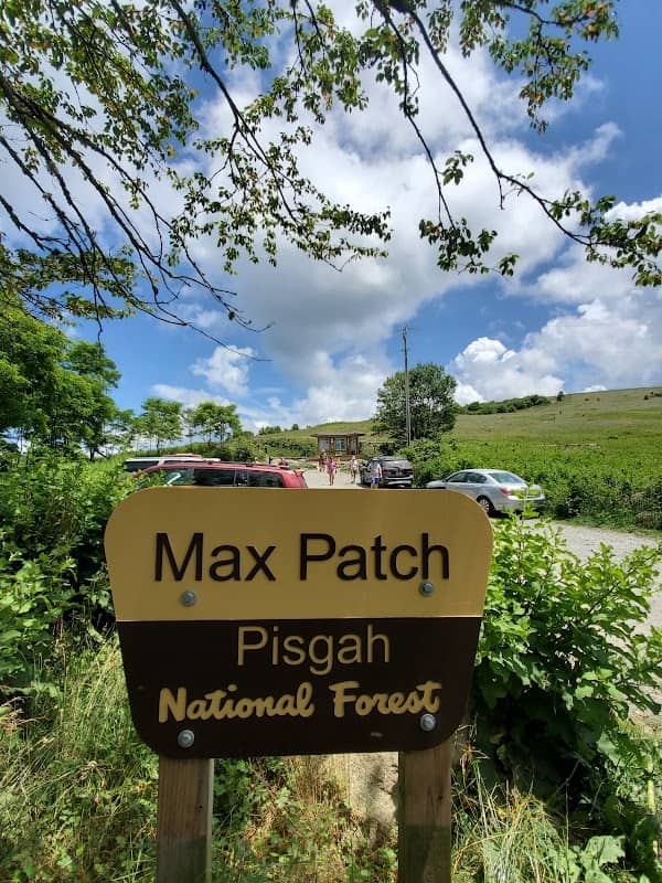 Max Patch - Image 3