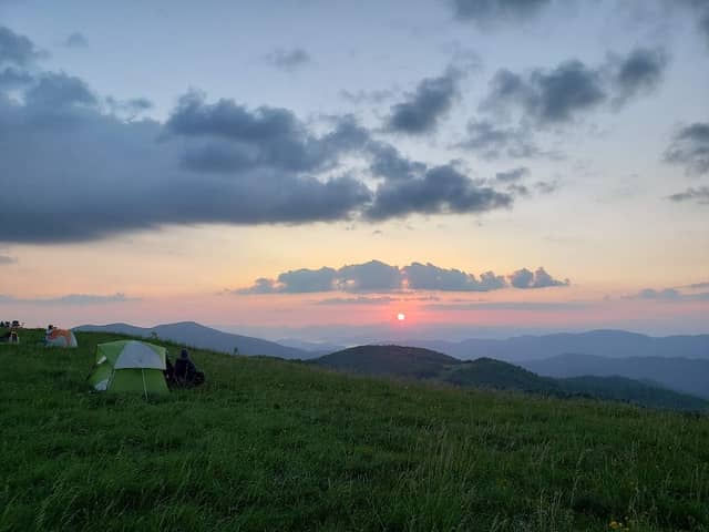 Max Patch - Image 2