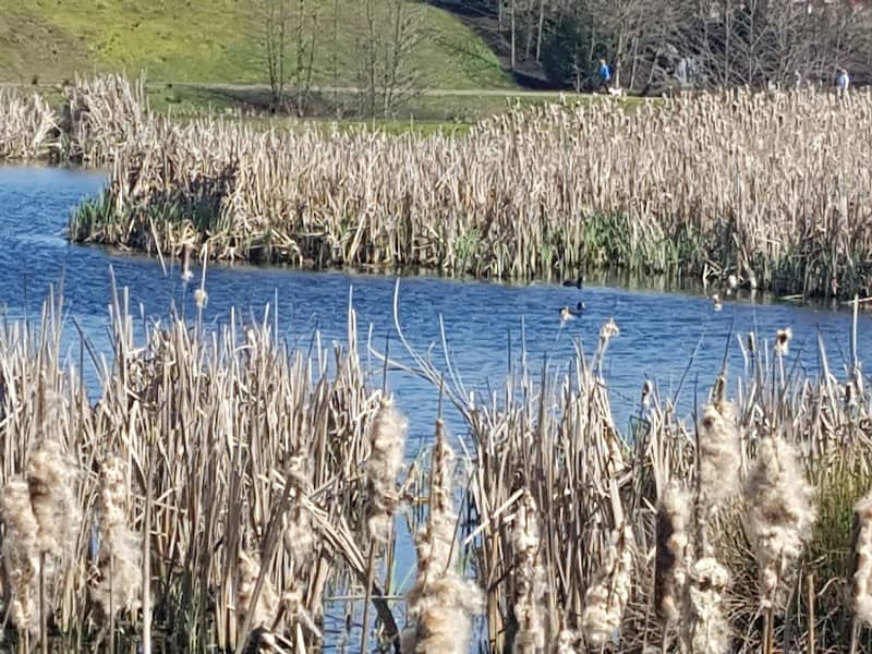 Talking Water Gardens - Image 1