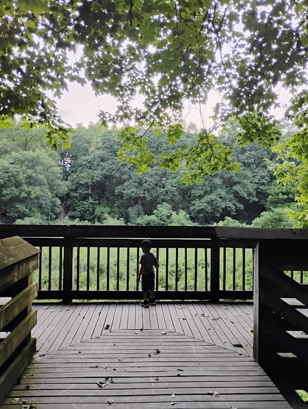 Overlook Steps - Image 2
