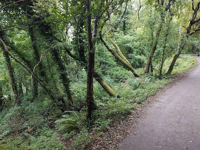 Colin Glen Forest Park - Image 1