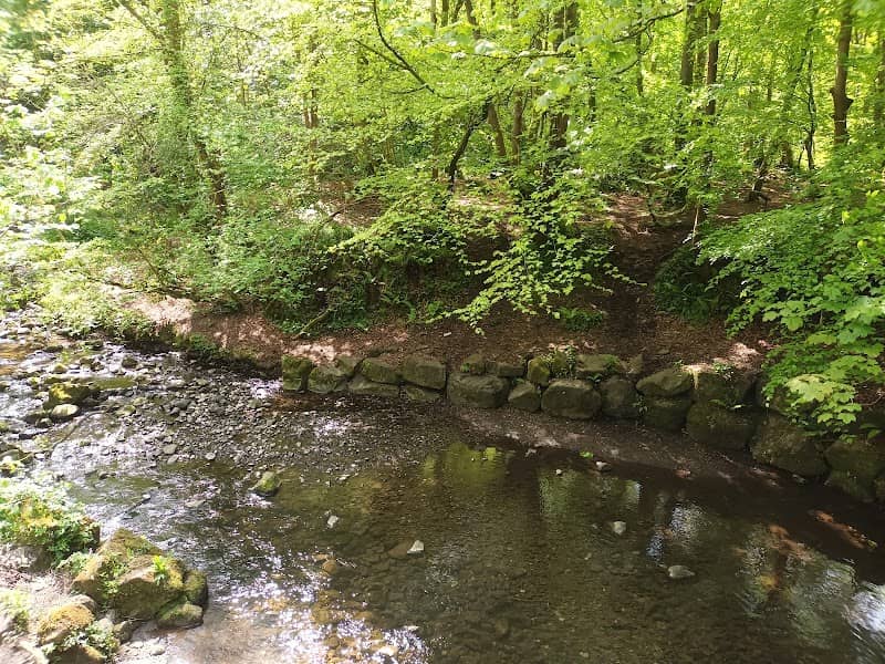 Colin Glen Forest Park - Image 2