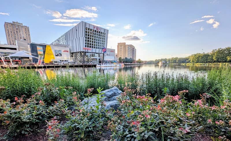 Rio Washingtonian Lake Outdoor Theater - Image 2