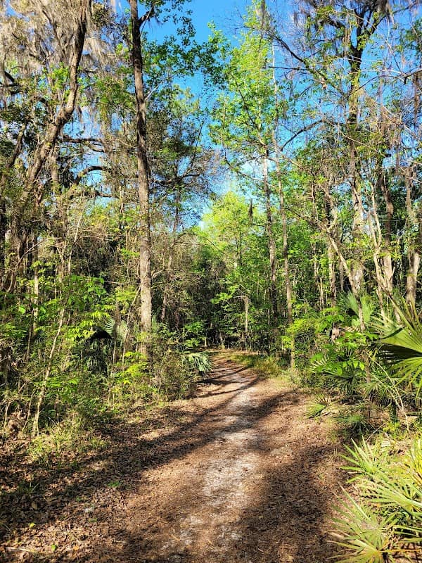 Blue Run of Dunnellon Park - Image 1