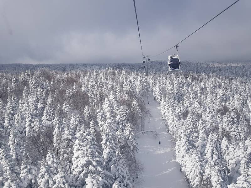 Uludag National Park - Image 1