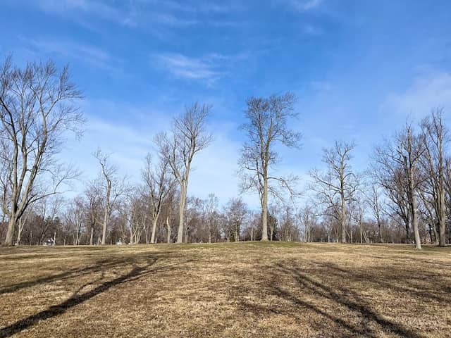 Centennial Park - Image 1