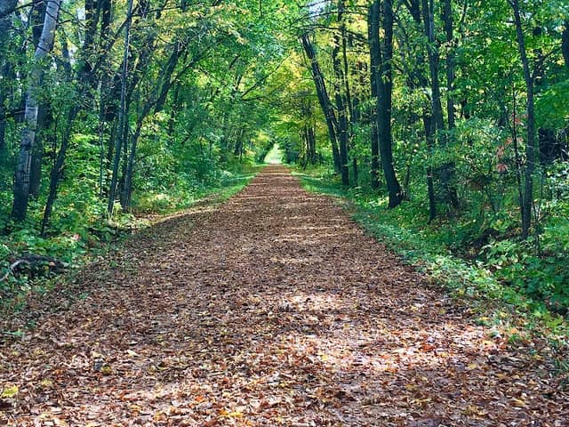 Luce Line Trailhead (Plymouth/Vicksburg Lane) - Image 2