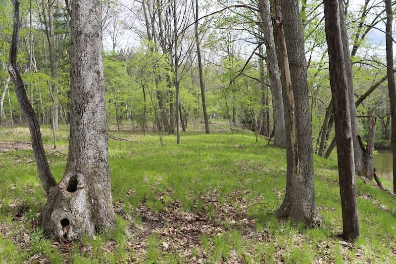 Williams Blackburn Preserve - Image 1