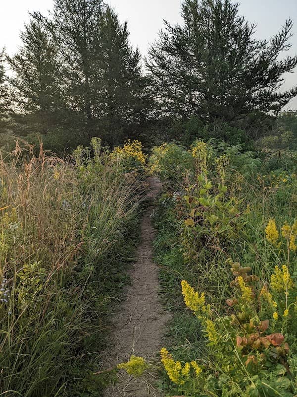 Saint John's Abbey Arboretum - Image 2