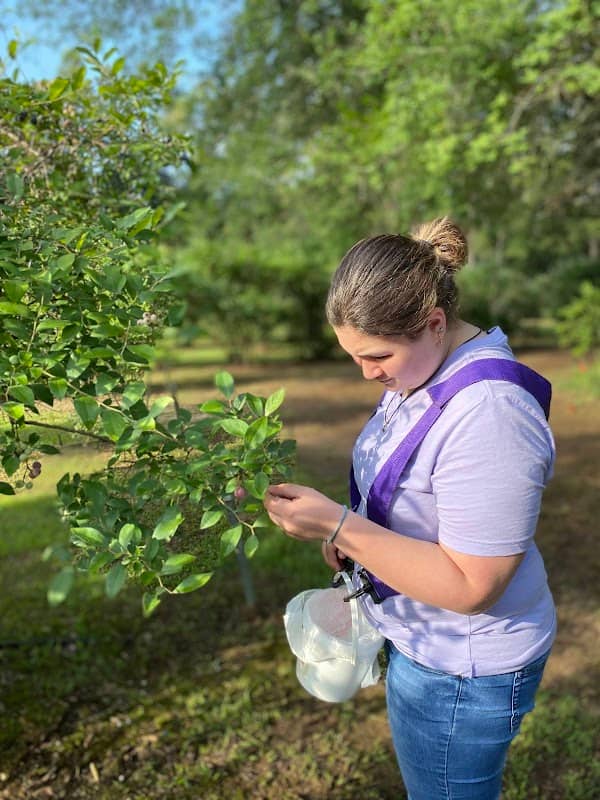 The Blueberry Place - Image 1