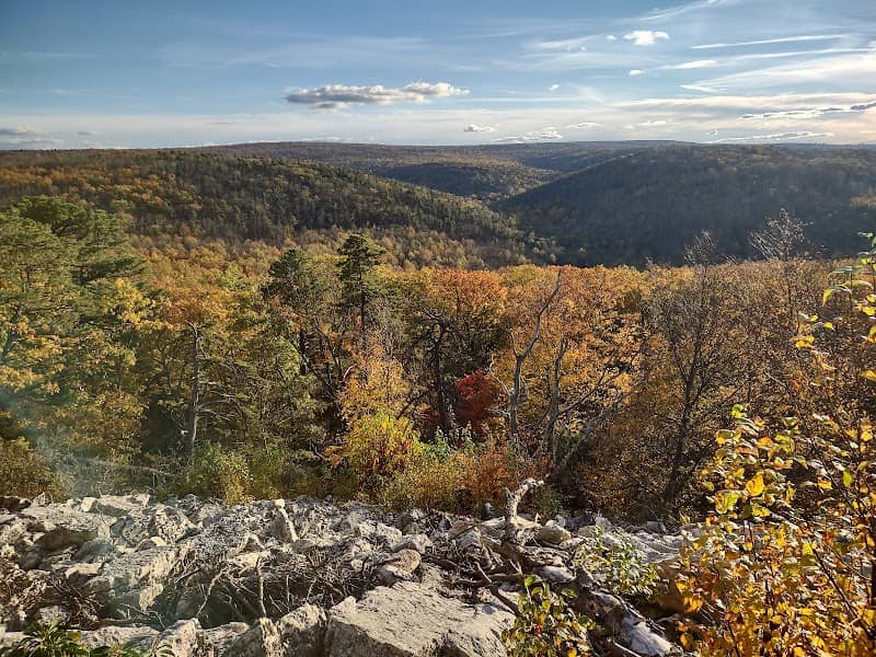 Michaux State Forest - Image 2