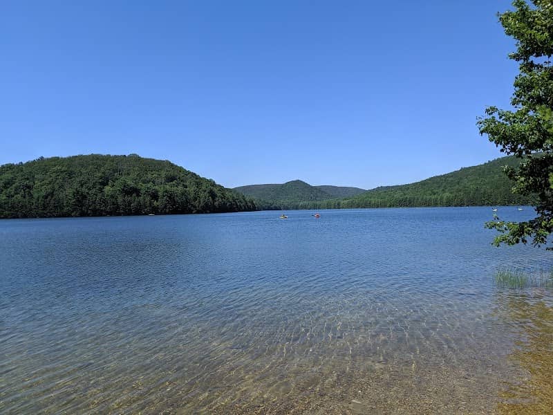 Michaux State Forest - Image 1