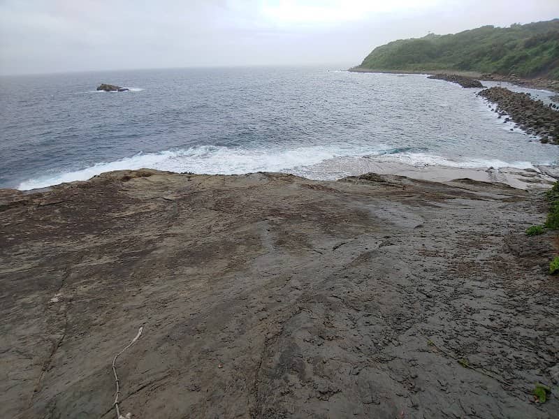 Senjojiki - Image 1