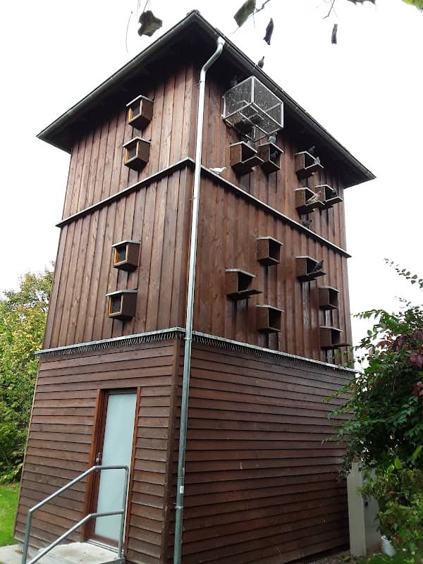 Taubenturm - Image 1