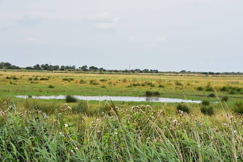 Willow Tree Fen - Image 2