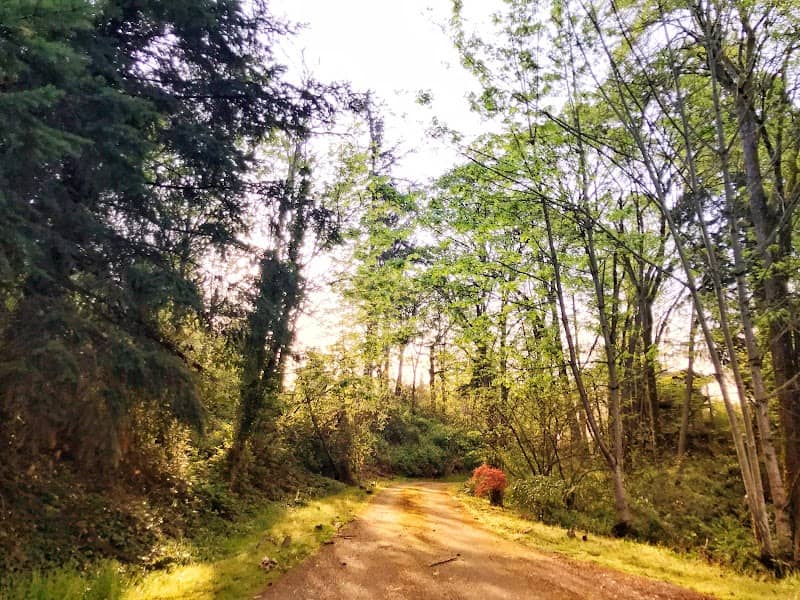Madison Lane Park - Image 1