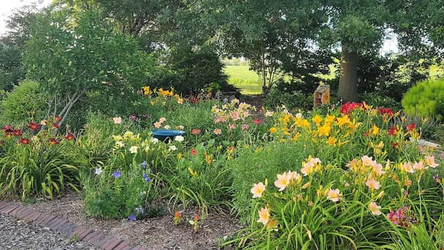 Village Garden - Image 1