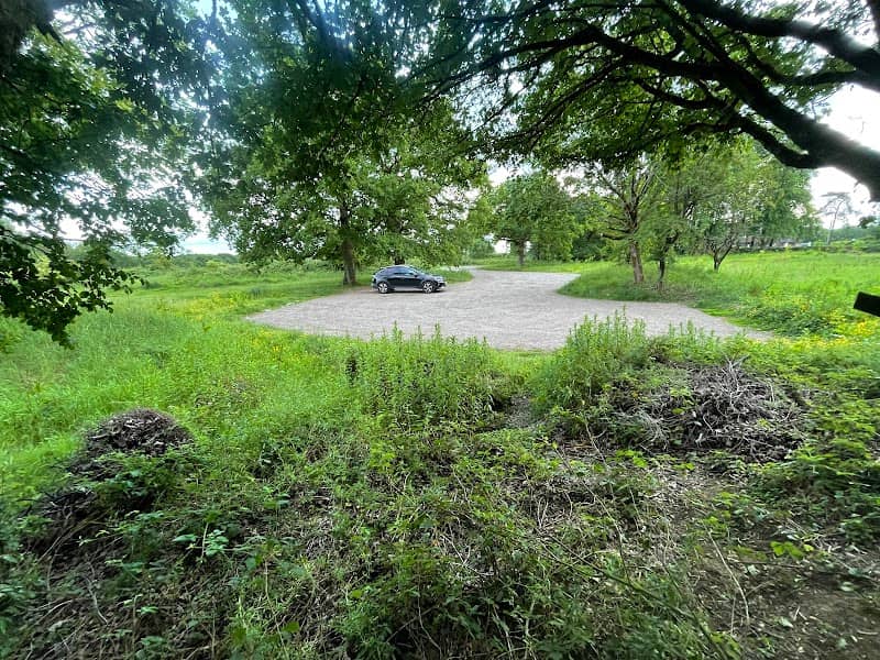 Forhill picnic place - Image 2