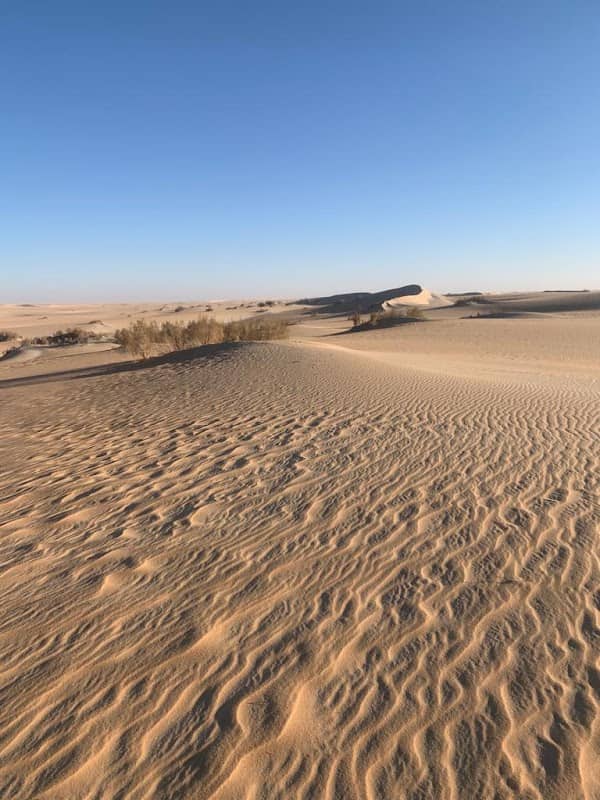 Saad National Park - Image 1