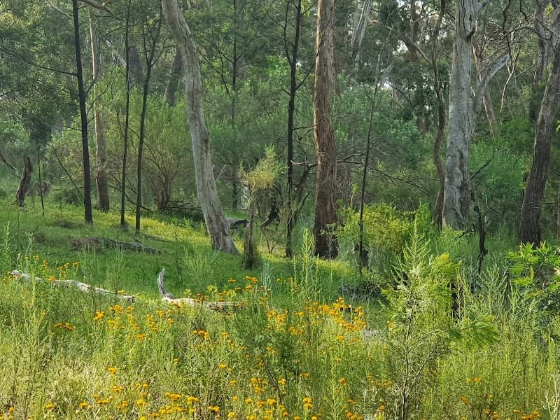 Browns Reserve - Image 2