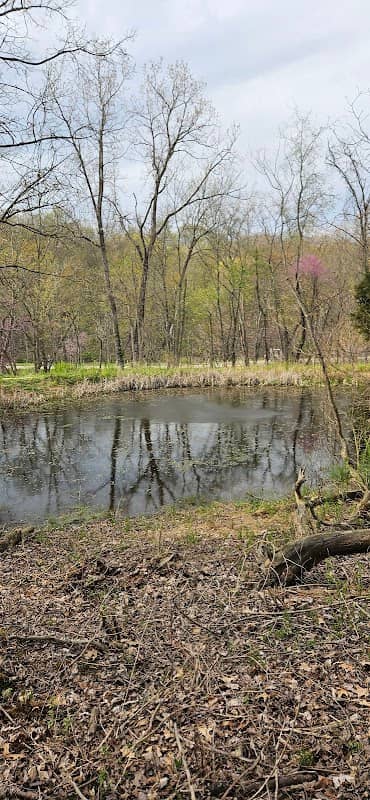 Hidden Pond - Image 1