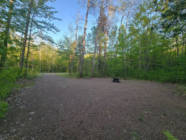Campsite in Sturgeon Lake - Image 1